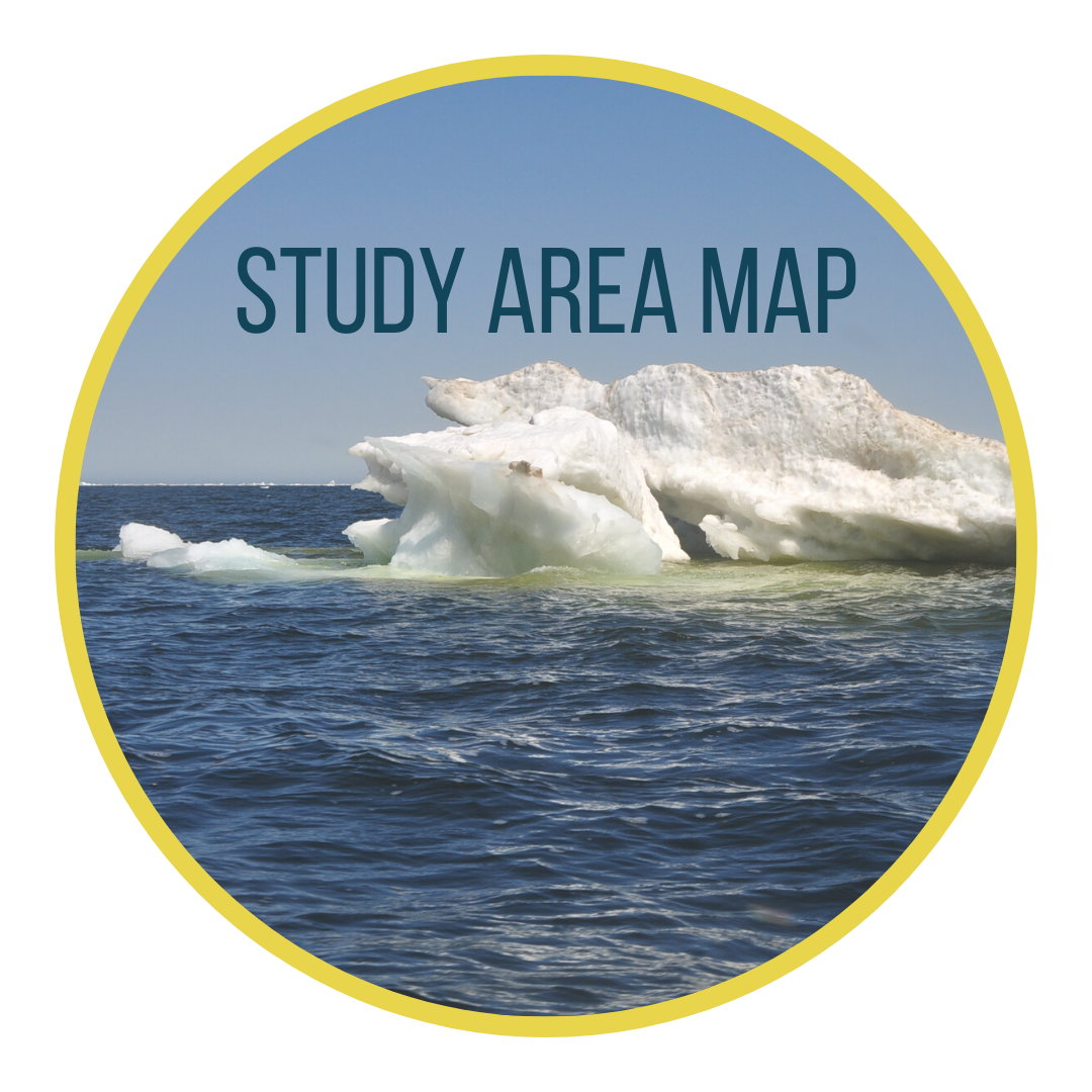 Study area map button; featuring an iceberg.