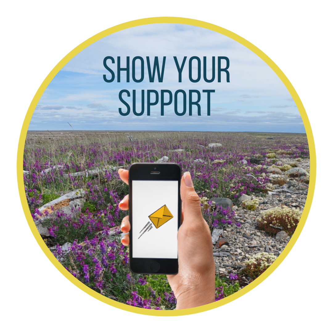 Show your support button; featuring a hand holding a phone in the foreground with an expanse of tundra wildflowers in the background.